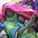 SDG 1